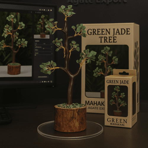Green Jade Tree
