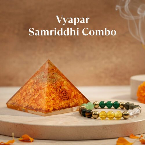 Vyapaar Samriddhi Combo